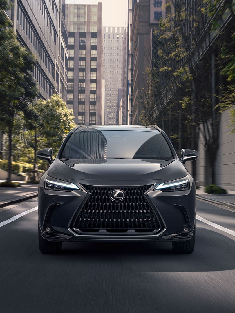 NX Hybrid
