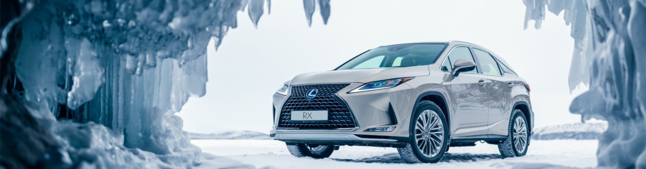 The Lexus RX
