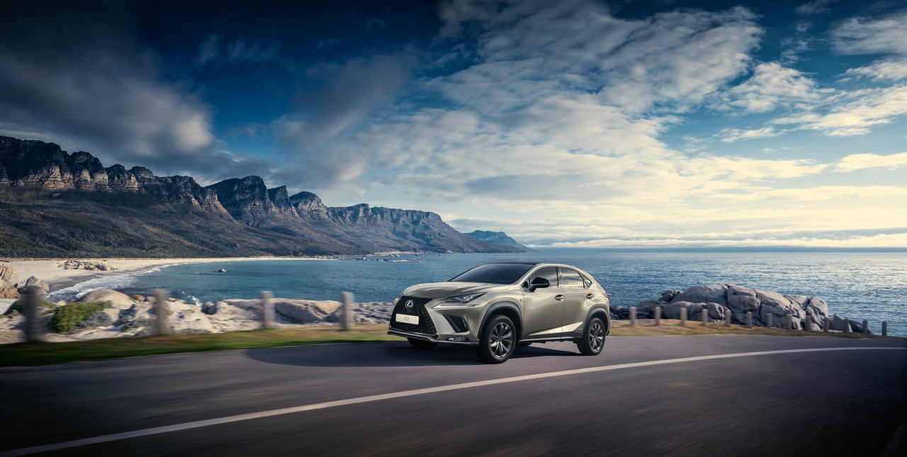 NX-Dynamic-suspension